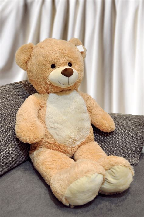 fendi teddybär xxl